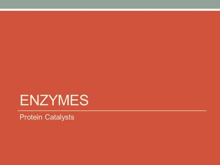 Enzymes Protein Catalysts.