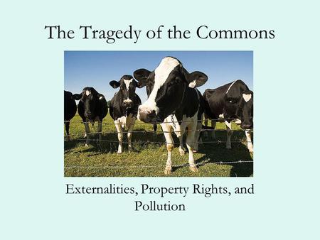 The Tragedy of the Commons Externalities, Property Rights, and Pollution.