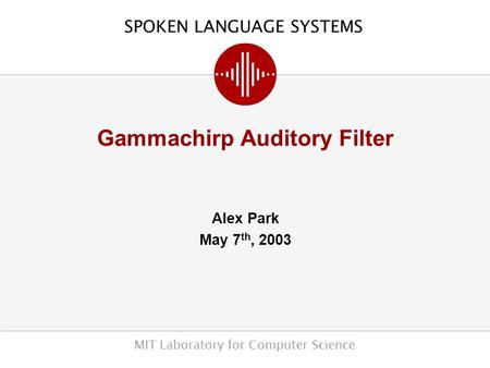 Gammachirp Auditory Filter