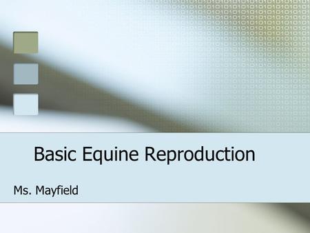 Basic Equine Reproduction