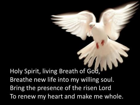 Holy Spirit, living Breath of God,Holy Spirit, living Breath of God, Breathe new life into my willing soul.Breathe new life into my willing soul. Bring.