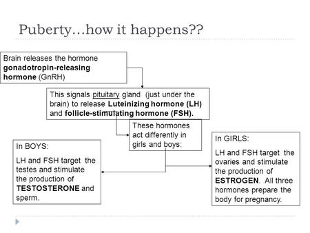 Puberty…how it happens?? Brain releases the hormone gonadotropin-releasing hormone (GnRH) This signals pituitary gland (just under the brain) to release.