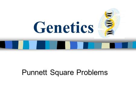 Genetics Punnett Square Problems Gray fur is dominant in mice over white. A purebred gray mouse is crossed with a hybrid female. What color fur may their.