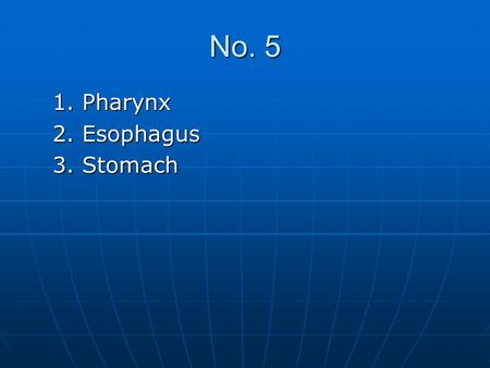 No. 5 1. Pharynx 2. Esophagus 3. Stomach.