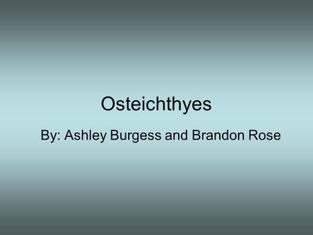 Osteichthyes By: Ashley Burgess and Brandon Rose.