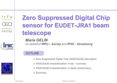 CEA DSM Irfu 20 th october 2008 EuDet Annual Meeting Marie GELIN on behalf of IRFU – Saclay and IPHC - Strasbourg Zero Suppressed Digital Chip sensor for.