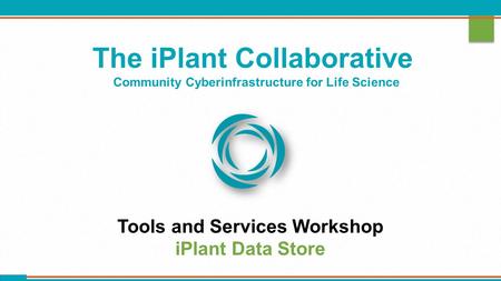 The iPlant Collaborative Community Cyberinfrastructure for Life Science Tools and Services Workshop iPlant Data Store.