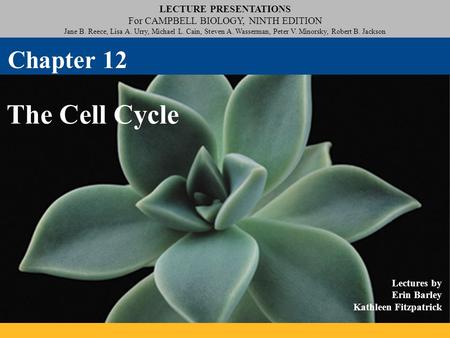 LECTURE PRESENTATIONS For CAMPBELL BIOLOGY, NINTH EDITION Jane B. Reece, Lisa A. Urry, Michael L. Cain, Steven A. Wasserman, Peter V. Minorsky, Robert.