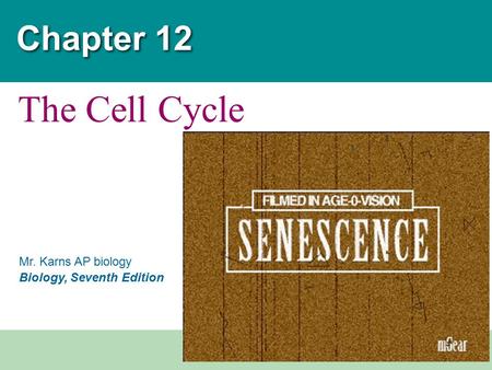 Chapter 12 The Cell Cycle.