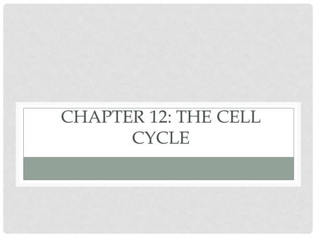 Chapter 12: The Cell Cycle