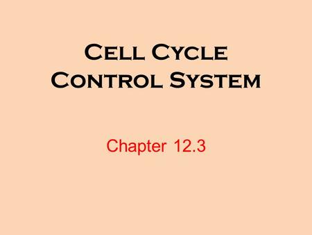 Cell Cycle Control System