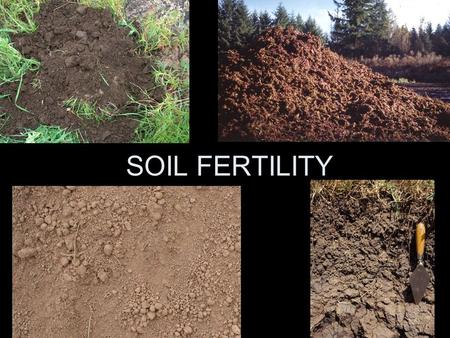 SOIL FERTILITY Which soil profile is likely to be more fertile?AB.