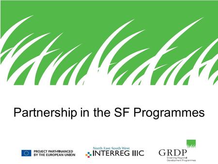 Partnership in the SF Programmes. GRDP For IRT 2 Influencing the future programmes” 3 main topics were identified –SEA –Greening projects –Partnership.