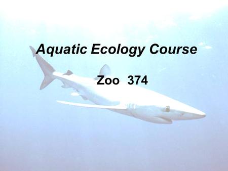 Aquatic Ecology Course Zoo 374. Fins and their modifications Types:- Paired (pectoral, pelvic) Unpaired (dorsal, anal, caudal) 1)Dorsal fin: used to facilitate.