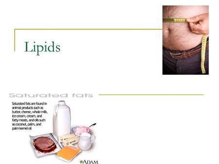 Lipids.