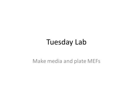 Tuesday Lab Make media and plate MEFs. Cell Culture: Best Practices 2 PLAN AHEAD and FOCUS 1.assemble tubes, pipettes, & reagents BEFORE you start 2.Thaw.