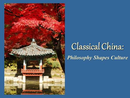 Philosophy Shapes Culture