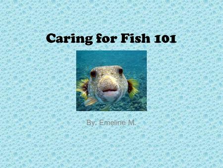 Caring for Fish 101 By: Emeline M.. Table of Contents Introduction What is a Fish? Chapter 1 - Picking Out a Fish Chapter 2 - Types of Fish Chapter 3.