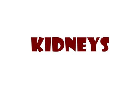 KIDNEYS KIDNEYS KIDNEYS KIDNEYS KIDNEYS KIDNEYS KIDNEYS KIDNEYS KIDNEYS.