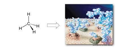 Synthesis Biosynthesis Reagents = small carbon-based molecules (e.g. amino acids, carbohydrates) Catalysts = enzymes, proteins that bind and then catalyze.