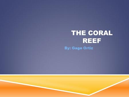 THE CORAL REEF By: Gage Ortiz. LOCATION OF THE BIOME  Coral reefs are located in tropical oceans near the equator  They are mainly in the red sea and.