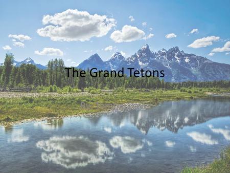 The Grand Tetons By: Tommy Davis. What year did the Grand Tetons become a park and why The Grand Tetons become a park in 1929,a coordinating commission.