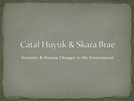 Societies & Human Changes to the Environment. When hunter-gatherers turned into farmers, villages started. Village life A typical village was 50 people.