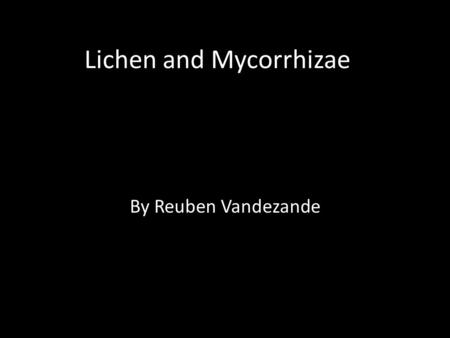 Lichen and Mycorrhizae