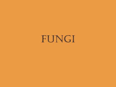 FUNGI. Fungi General Characteristics eukaryote absorptive heterotroph - saprobe or parasite cell walls made of chitin multicellular (except for yeast)