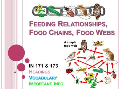 Feeding Types Autotrophs: