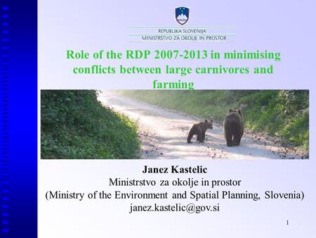 1 Role of the RDP 2007-2013 in minimising conflicts between large carnivores and farming Janez Kastelic Ministrstvo za okolje in prostor (Ministry of the.