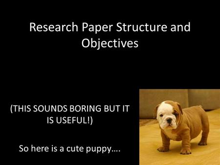 Research Paper Structure and Objectives (THIS SOUNDS BORING BUT IT IS USEFUL!) So here is a cute puppy….