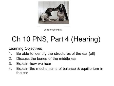 Ch 10 PNS, Part 4 (Hearing) Learning Objectives