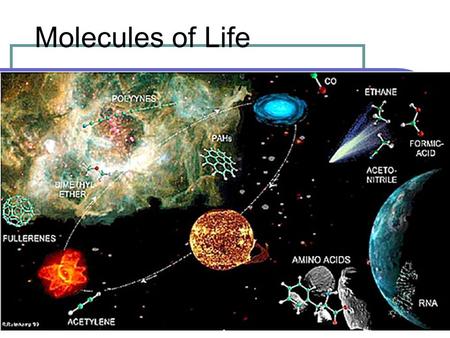 Molecules of Life. Carbohydrates Function for quick and short term energy storage. “Hydrates of Carbon” with the formula C n (H 2 0) n.