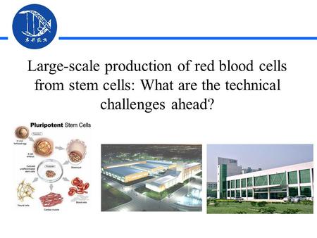 Large-scale production of red blood cells from stem cells: What are the technical challenges ahead?