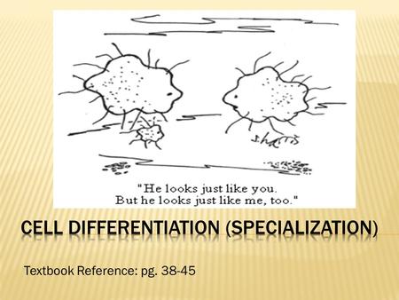 Textbook Reference: pg. 38-45.  Mitosis produces cells with exact copies of the same chromosomes…therefore the same genes  But cells will produce different.