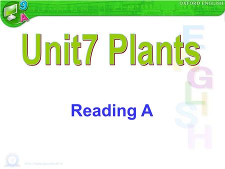 Reading A. 1. Do you like plants? 2. What is your favorite plants? Warm-up Let me show you some of my favourite. Do you know how to call them? tulip bamboo.