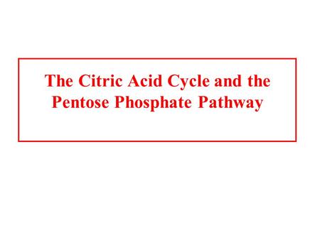 The Citric Acid Cycle and the Pentose Phosphate Pathway.