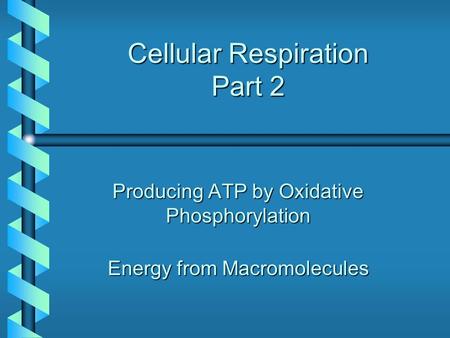 Cellular Respiration Part 2 Producing ATP by Oxidative Phosphorylation Energy from Macromolecules.