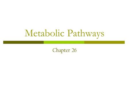 Metabolic Pathways Chapter 26. Metabolic Pathways – Ch. 26 1. List three reasons why the hydrolysis of ATP into ADP and phosphate is so thermodynamically.