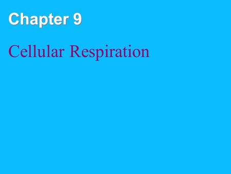 Chapter 9 Cellular Respiration. Fig. 9-2 Light energy ECOSYSTEM Photosynthesis in chloroplasts CO 2 + H 2 O Cellular respiration in mitochondria Organic.