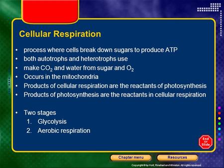 Copyright © by Holt, Rinehart and Winston. All rights reserved. ResourcesChapter menu Cellular Respiration process where cells break down sugars to produce.