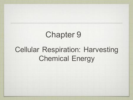 Cellular Respiration: Harvesting Chemical Energy