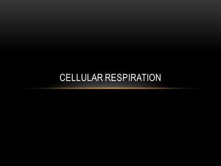 CELLULAR RESPIRATION OVERVIEW C 6 H 12 O 6 + 6O 2  6CO 2 + 6H 2 O + energy (36 ATP) Opposite of photosynthesis Energy being released from food in the.