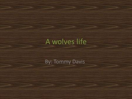 A wolves life By: Tommy Davis. The wolf family This research report is about wolves. Wolves come from a family including dingoes, red wolves, gray wolves,