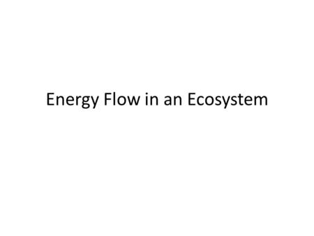 Energy Flow in an Ecosystem