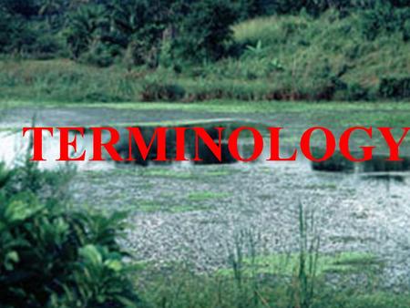 TERMINOLOGY. 1. Ecology The study of how organisms interact with their environment and each other.