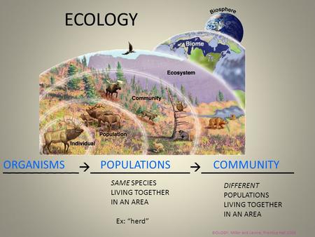 __________  _____________  ____________ ORGANISMSPOPULATIONSCOMMUNITY BIOLOGY; Miller and Levine; Prentice Hall;2006 SAME SPECIES LIVING TOGETHER IN.