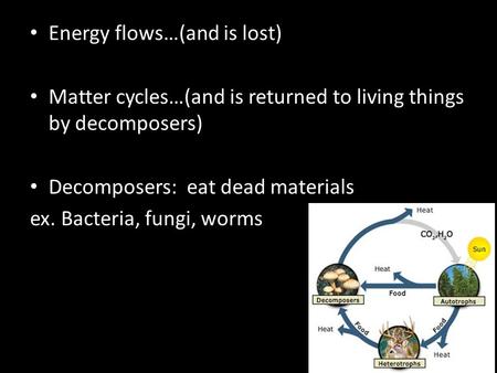 Energy flows…(and is lost)