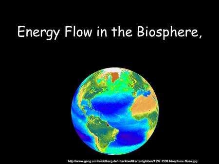 Energy Flow in the Biosphere,